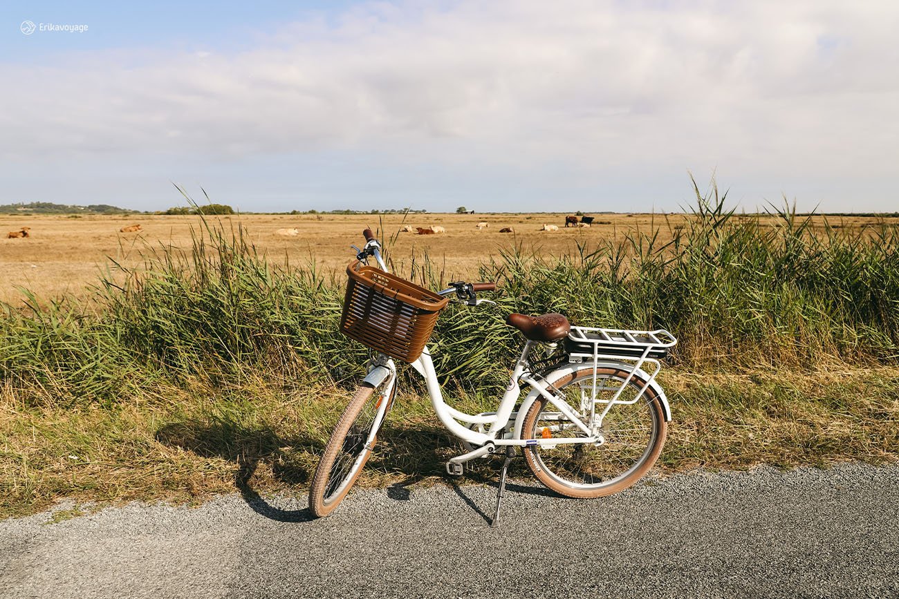 Balade vélo la Manade marais de Brouage