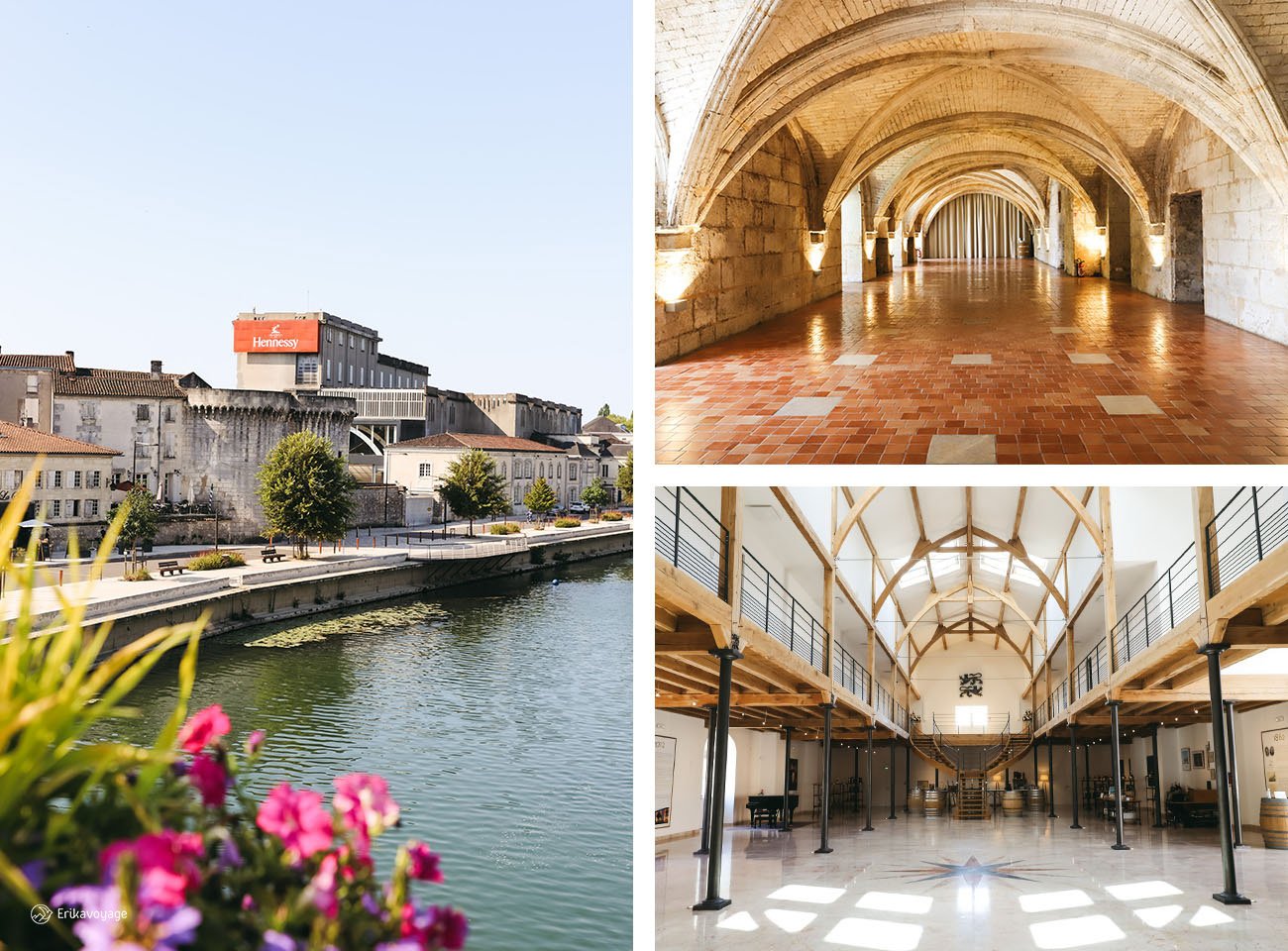 Visite vignoble cognac