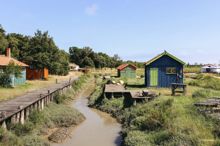 Que faire sur l’île d’Oléron ? 15 activités à ne pas manquer !