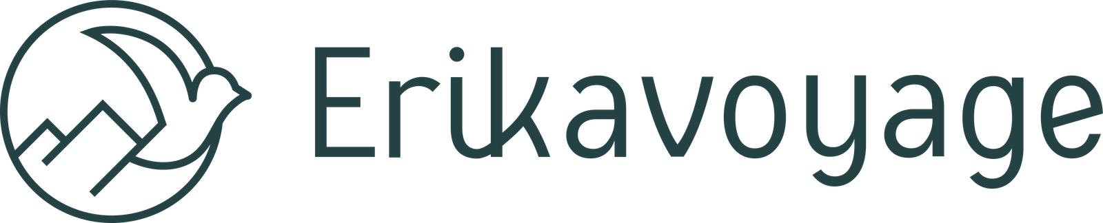 Logo erikavoyage bleu