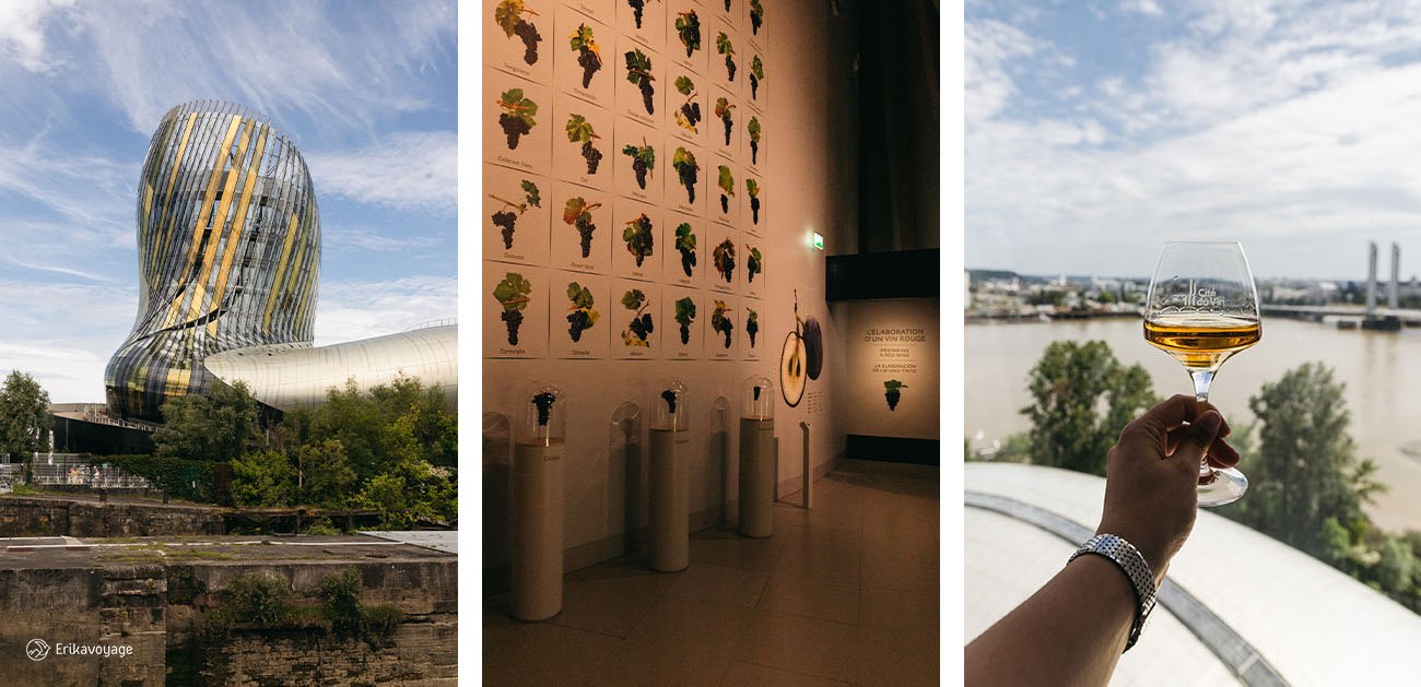 Visite cité du vin Bordeaux