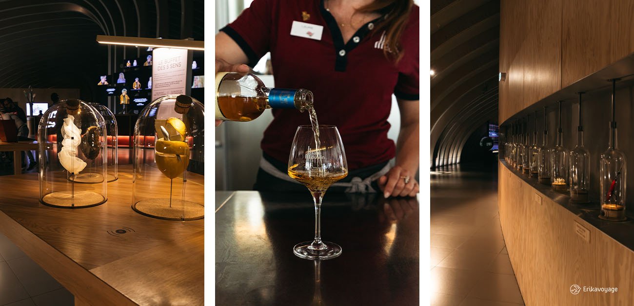Visite cité du vin Bordeaux